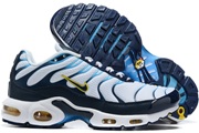 Nike Air Max TN 8909-270